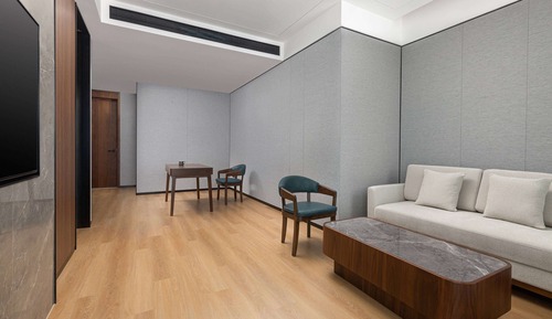 Suite ejecutiva, 1 cama de matrimonio grande, no fumadores