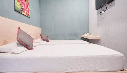 Habitación Deluxe con 2 camas individuales