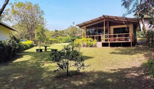 Suite estudio Deluxe, vistas al jardín