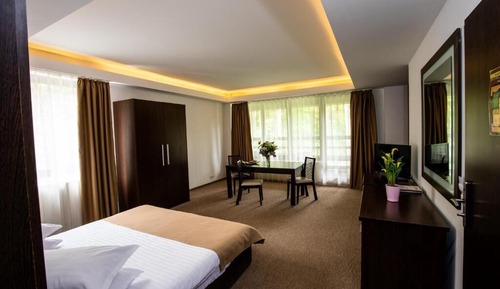 Habitación Deluxe doble, balcón, vistas al jardín