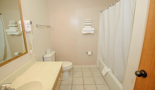 Habitación Deluxe con 1 cama doble o 2 individuales