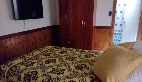 Habitación individual estándar, vistas al jardín