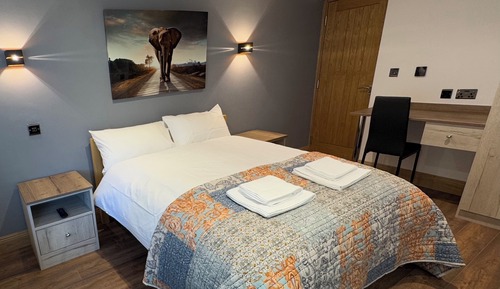 Estudio Deluxe, 1 cama doble, no fumadores, cocina básica
