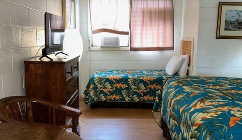 Estudio Deluxe, vistas al jardín