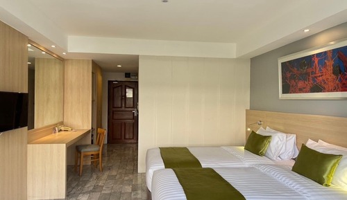 Habitación Deluxe con 2 camas individuales