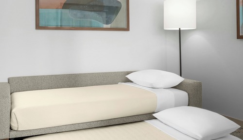 Suite estudio, varias camas (Mobility Accessible, Roll-In Shower)