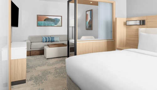 Suite, 1 cama de matrimonio grande con sofá cama