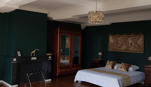 Habitación junior, vistas al jardín