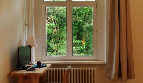 Habitación individual Confort, vistas al jardín