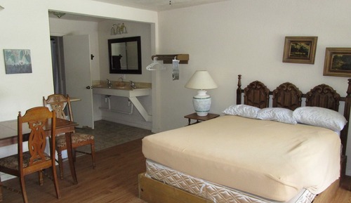 Habitación básica, 1 cama de matrimonio grande, no fumadores, vistas al río