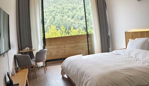 Habitación básica doble, vistas a la montaña