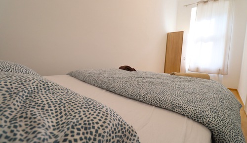 Apartamento Confort, cocina básica, planta ejecutiva