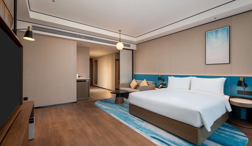 Habitación Premium, 1 cama de matrimonio grande