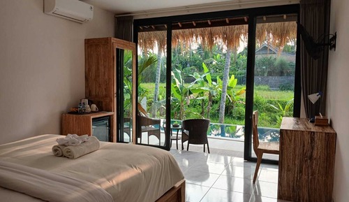 Suite Premium, 1 habitación