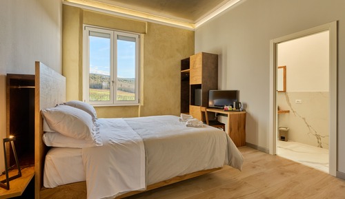 Habitación doble superior, vistas al viñedo
