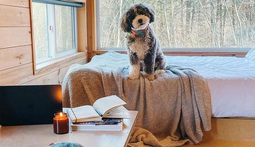 Cabaña estándar, 1 cama de matrimonio
