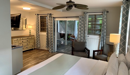 Suite estudio Premium, 1 cama de matrimonio grande, vistas al jardín, planta baja