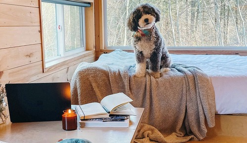 Cabaña estándar, 1 cama de matrimonio