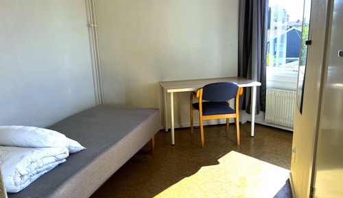Habitación individual básica, vistas al jardín