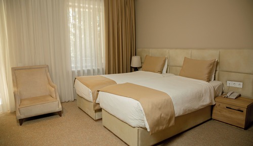 Habitación Deluxe con 1 cama doble o 2 individuales