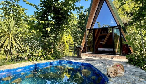 Casa en un árbol clásica