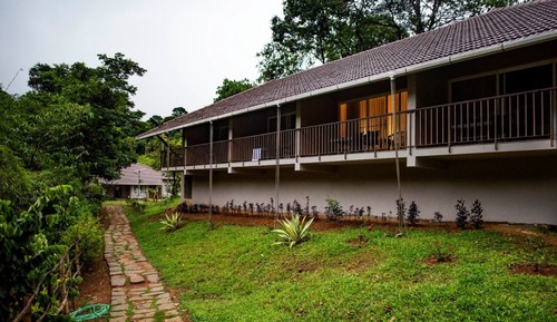 Habitación básica doble, balcón, vistas al jardín