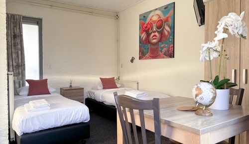 Estudio estándar, vistas al jardín