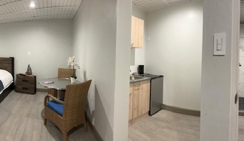 Suite estudio junior, vistas al jardín