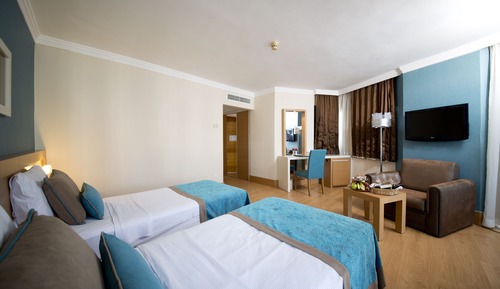 Habitación estándar con 1 cama doble o 2 individuales (With Non Alcoholic Drinks)