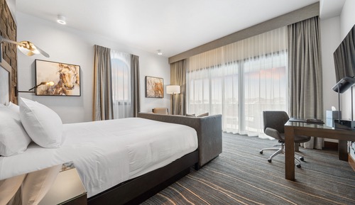 Suite Deluxe, 1 cama de matrimonio grande (Deluxe Suite)