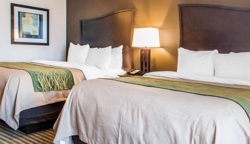 Habitación estándar, 2 camas de matrimonio, no fumadores