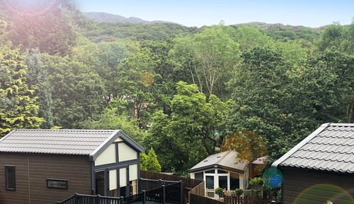 Cabana Suite, Multiple Beds, Park View