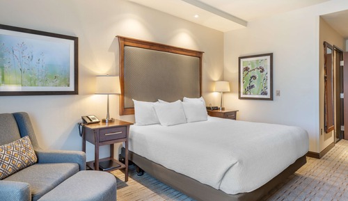 Habitación estándar, 1 cama de matrimonio grande, no fumadores, frigorífico y microondas
