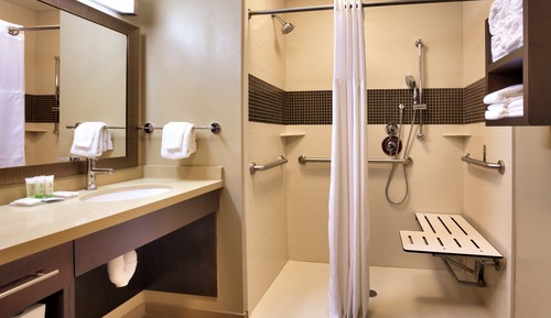 Suite, 1 habitación, accesible para personas con discapacidad, cocina (Mobility, Roll-In Shower)