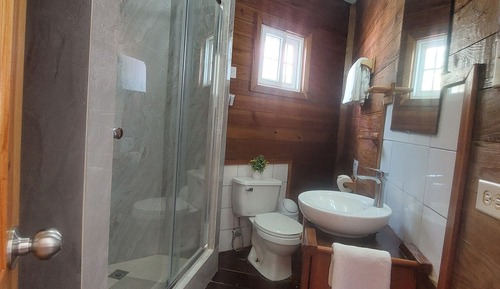 Habitación Deluxe con 1 cama doble o 2 individuales