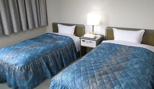 Habitación básica con 2 camas individuales, no fumadores