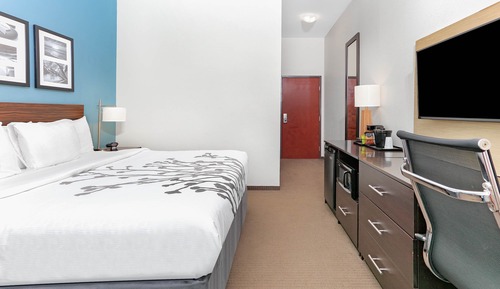 Suite Deluxe, 1 cama de matrimonio grande, accesible para personas con discapacidad, no fumadores