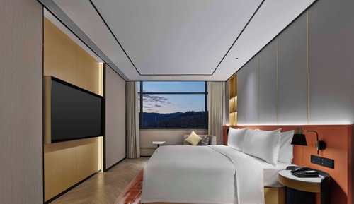Suite Deluxe, 1 cama de matrimonio grande
