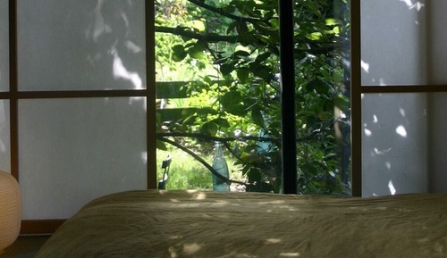 Bungalow Deluxe, baño privado, vistas al jardín (Lotus)