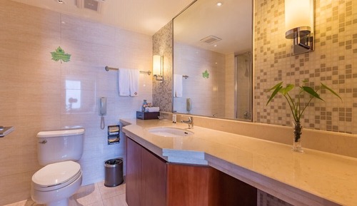 Habitación estándar con 2 camas individuales, vistas al lago