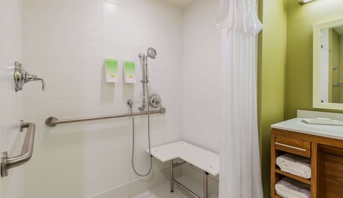 Estudio, 1 cama de matrimonio grande (Mobility & Hearing, Roll-in Shower)