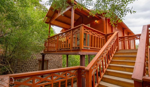 Casa en un árbol superior