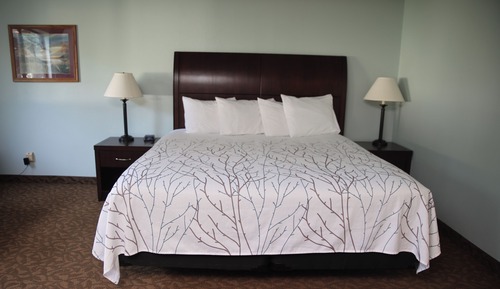 Suite estándar, 1 cama de matrimonio grande con sofá cama, no fumadores