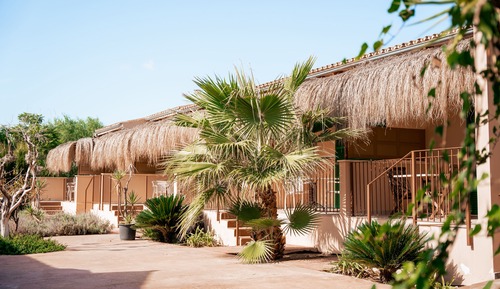 Estudio