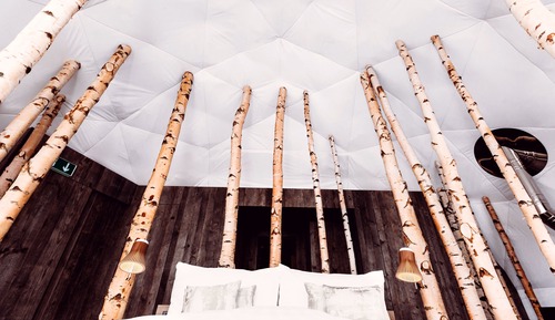 Suite (Forest)