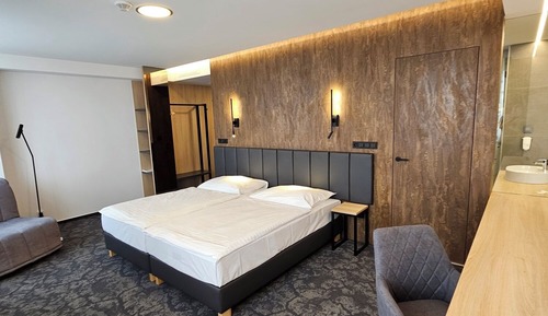 Habitación Business con 1 cama doble o 2 individuales