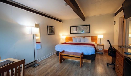 Habitación estándar, 1 cama de matrimonio grande