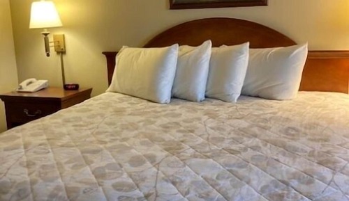 Habitación estándar, 1 cama de matrimonio grande, frigorífico y microondas