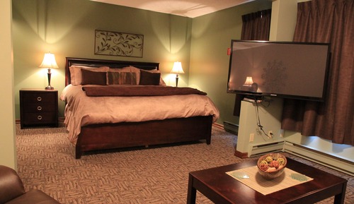 Suite ejecutiva, 1 cama de matrimonio grande (Contemporary)