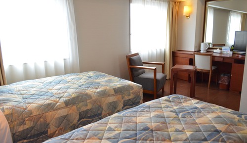 Habitación Deluxe con 2 camas individuales, no fumadores, vistas a la ciudad (2 people use)